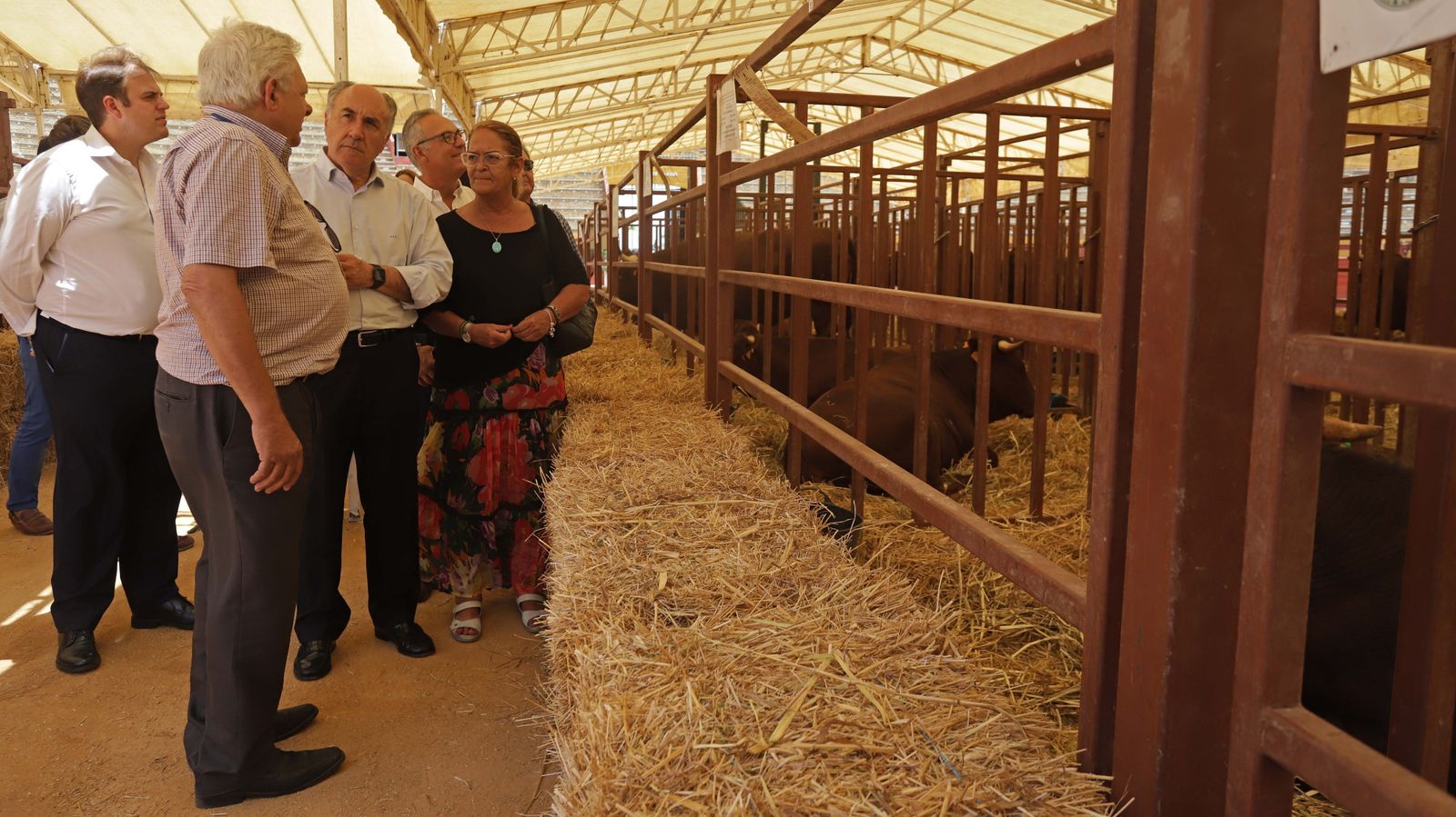 Fotos de la inauguración de la 171 Feria del Ganado de Algeciras