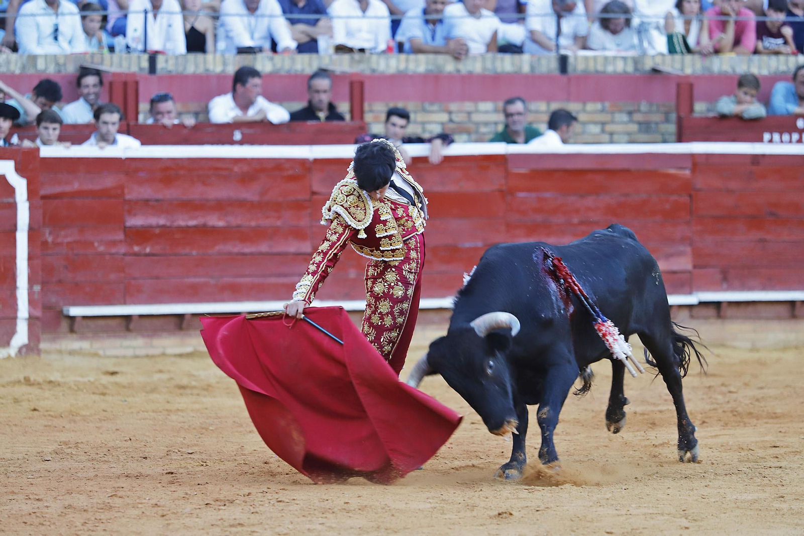 COLOMBINAS 2023: Festejo del miércoles de la Feria Taurina