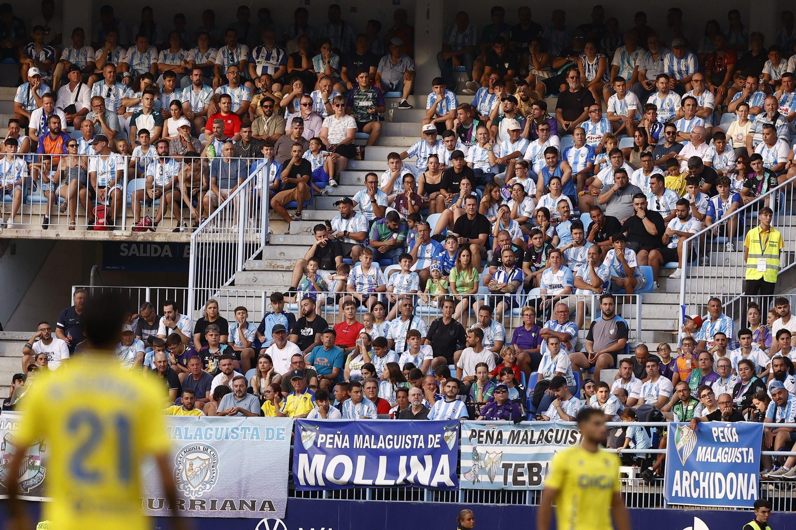 Búscate en las gradas de La Rosaleda durante el Málaga CF-Cádiz