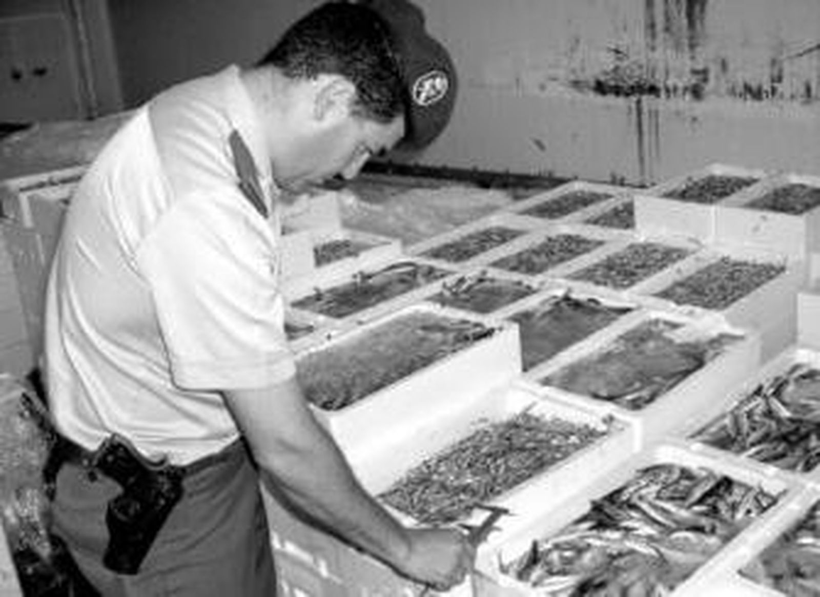 La vigilancia de los agentes para retirar inmaduros es constante.