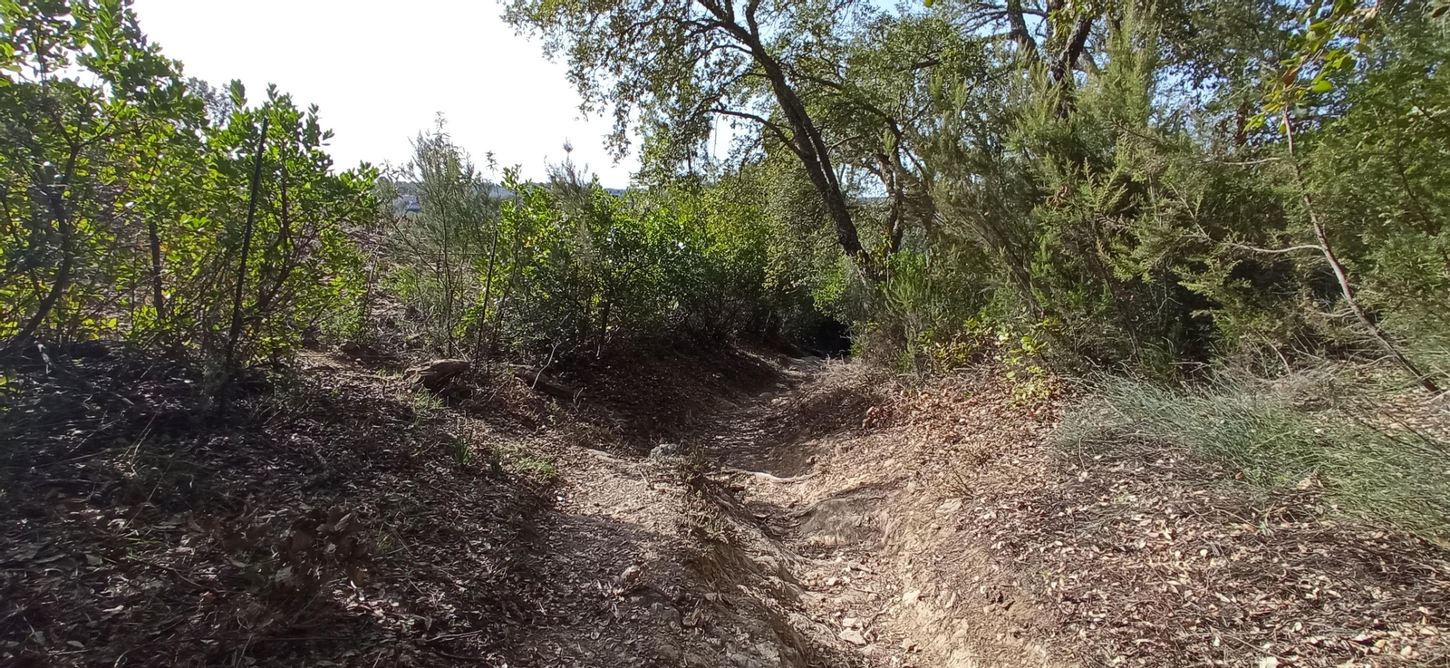 Las imágenes de la ruta de la Dehesa de Valdelama: De Los Marines a Fuenteheridos y vuelta