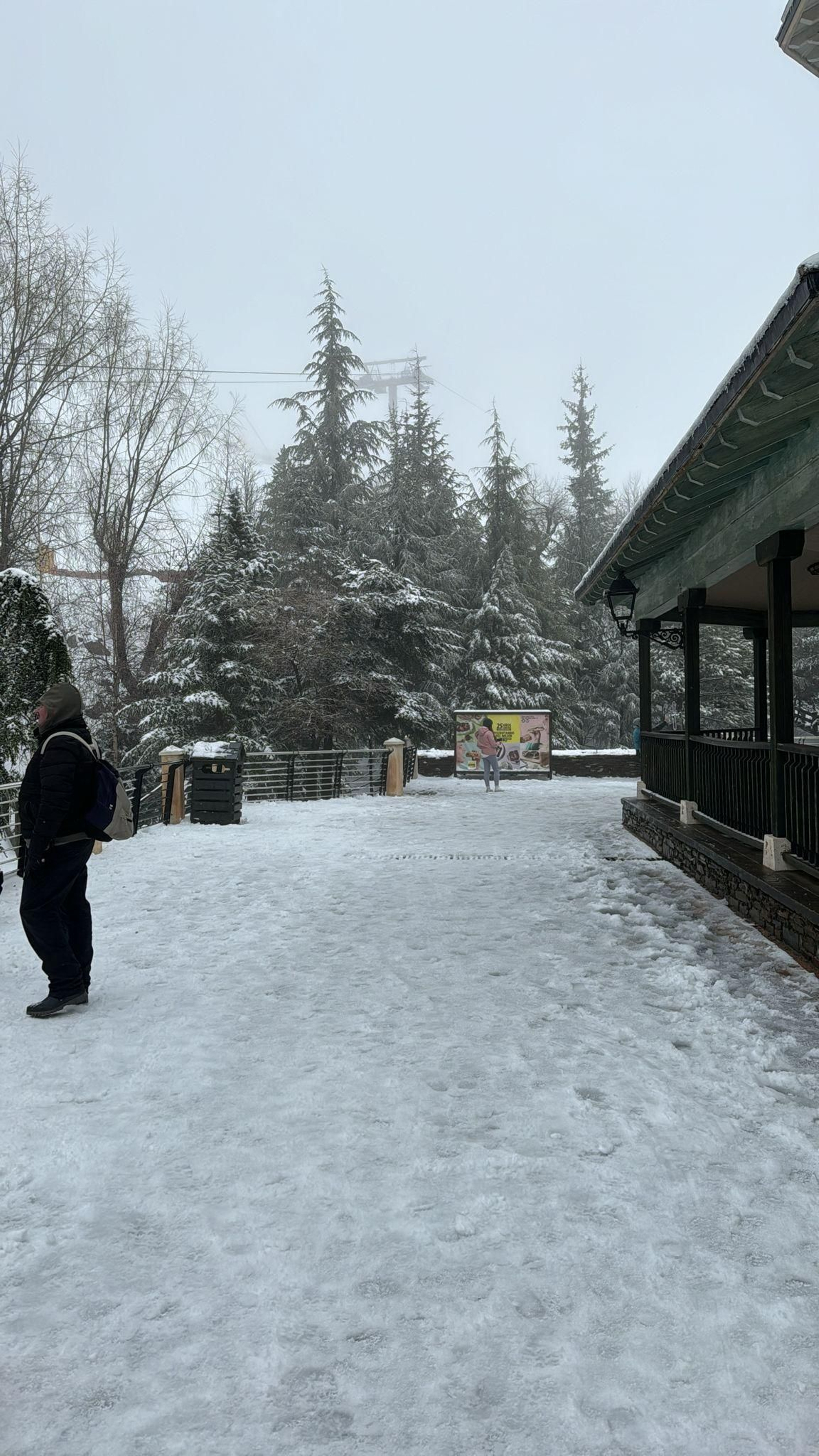 Fotos: la nieve que por fin deja blanca Sierra Nevada