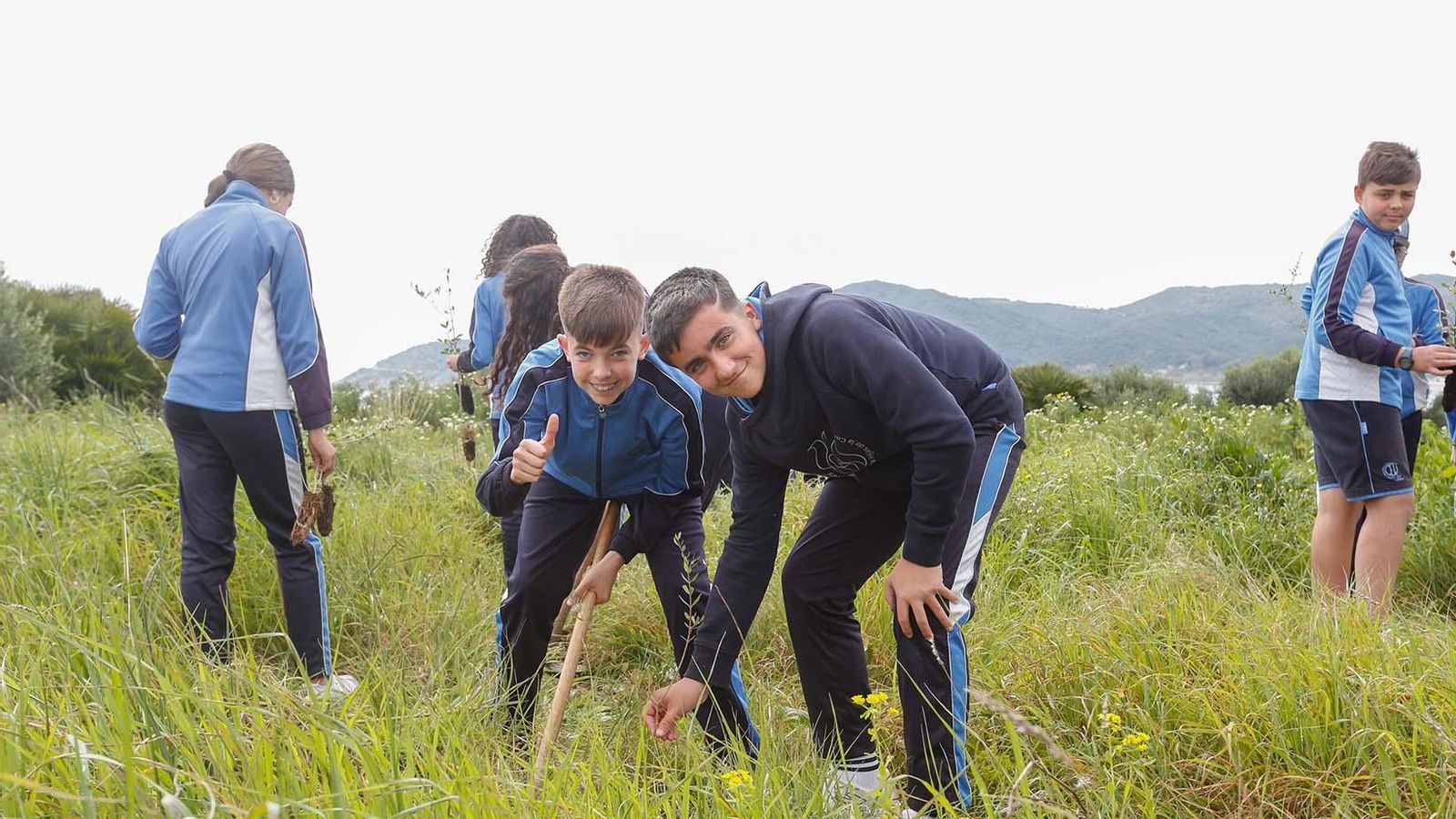 Fotografías de la plantación del programa 'Reverdece' de Acerinox Fotografías de la plantación del programa 'Reverdece' de Acerinox