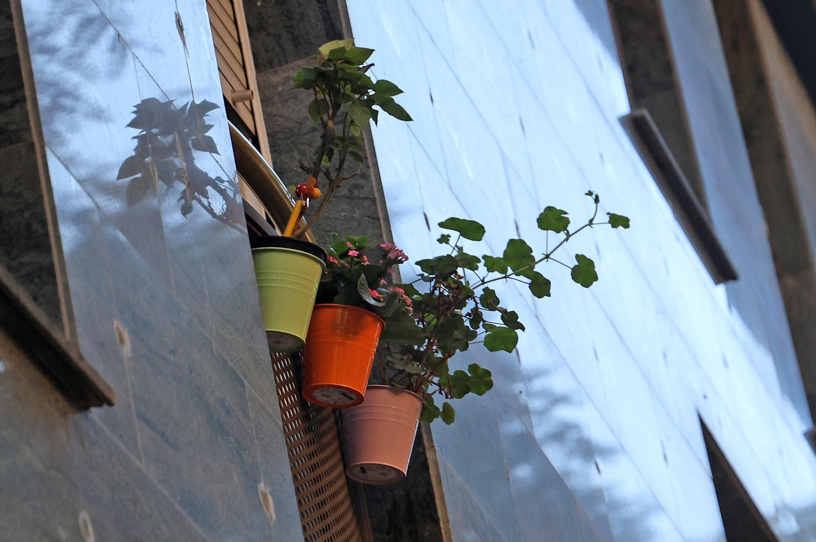 Imágenes del miércoles 15 de enero en Huelva