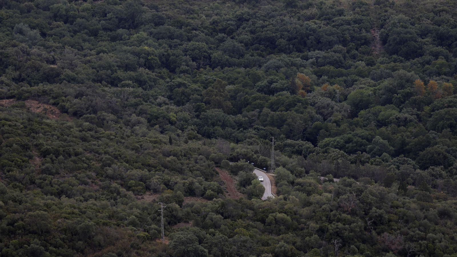 El Parque Natural de Los Alcornocales.