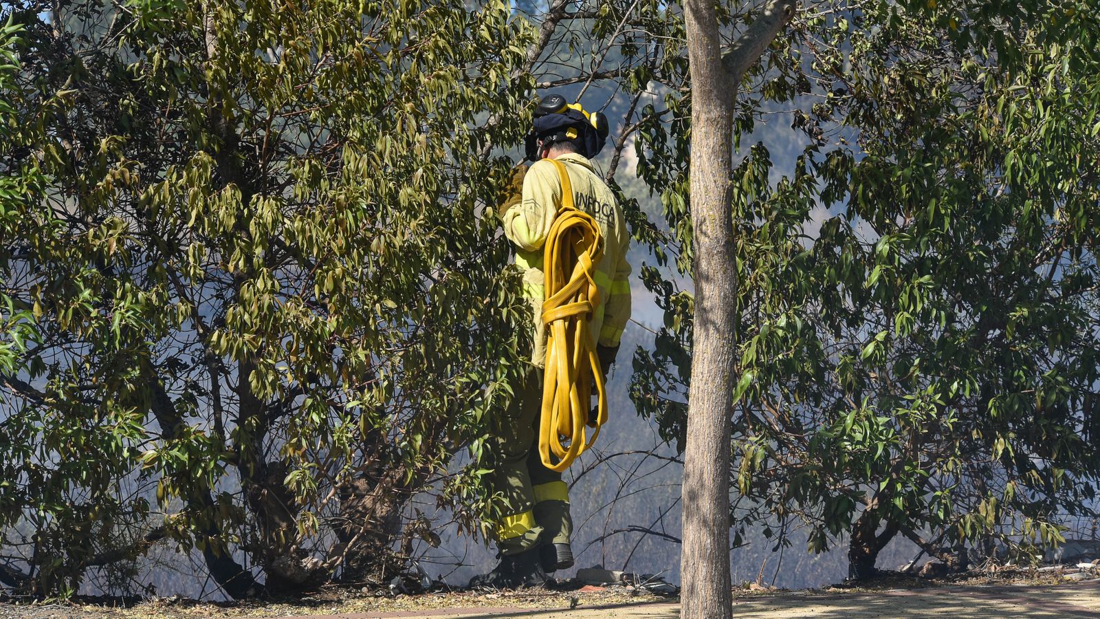 Las fotos del incendio en la barriada de San Bernabé