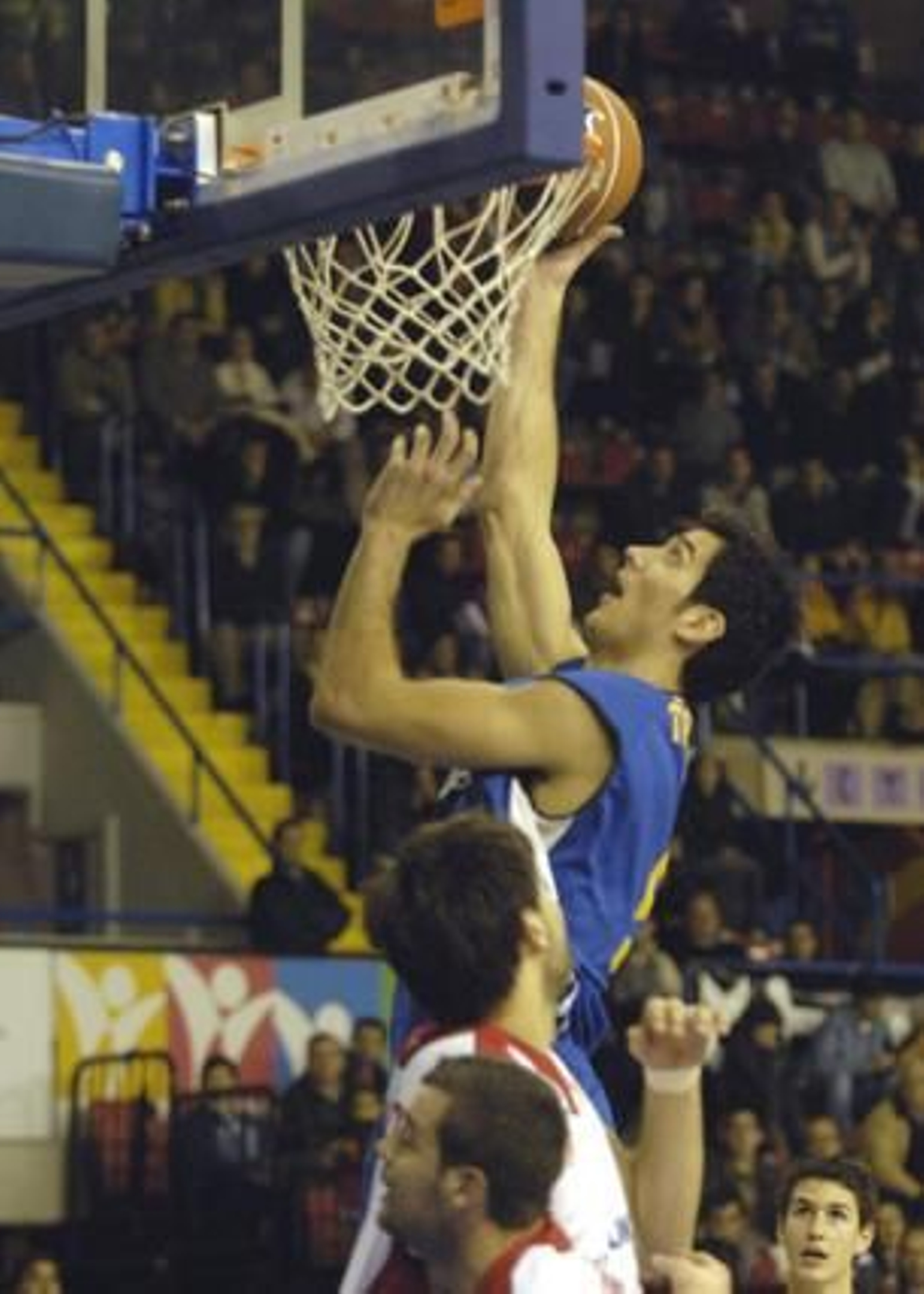 Bandeja de Triguero.

Foto: Manuel Gómez