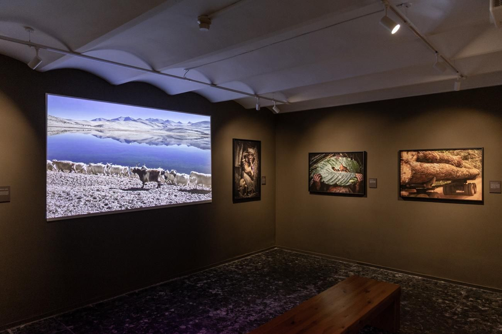 One Health en imágenes: la fotogalería de Katy Gómez que te hará reflexionar sobre la salud global