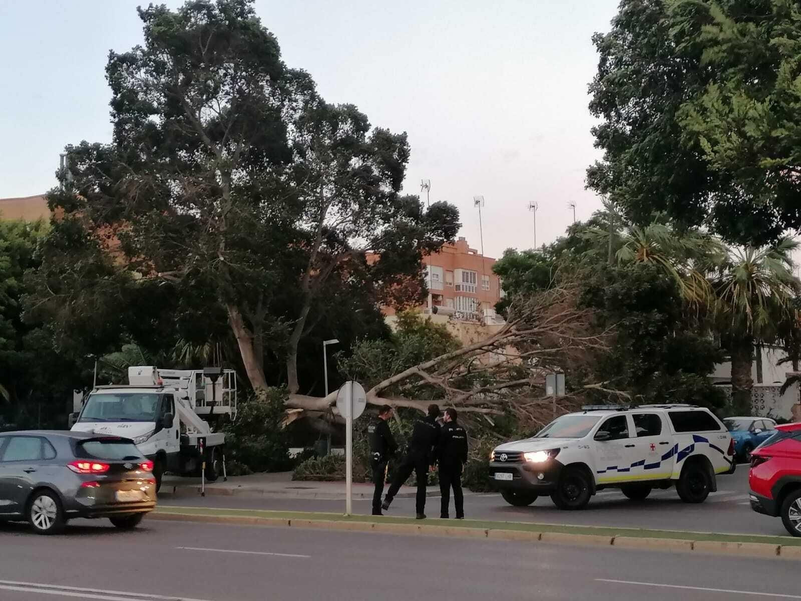 Las imágenes más impactantes del temporal de viento en Almería