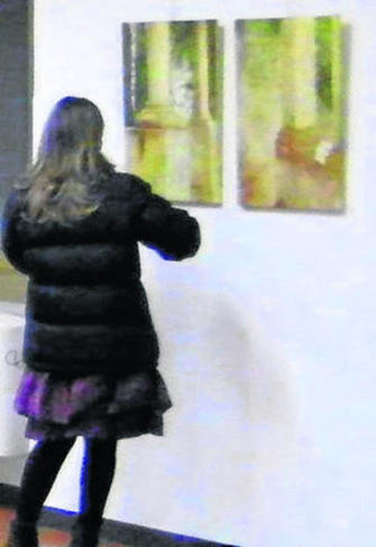 Un momento de la muestra