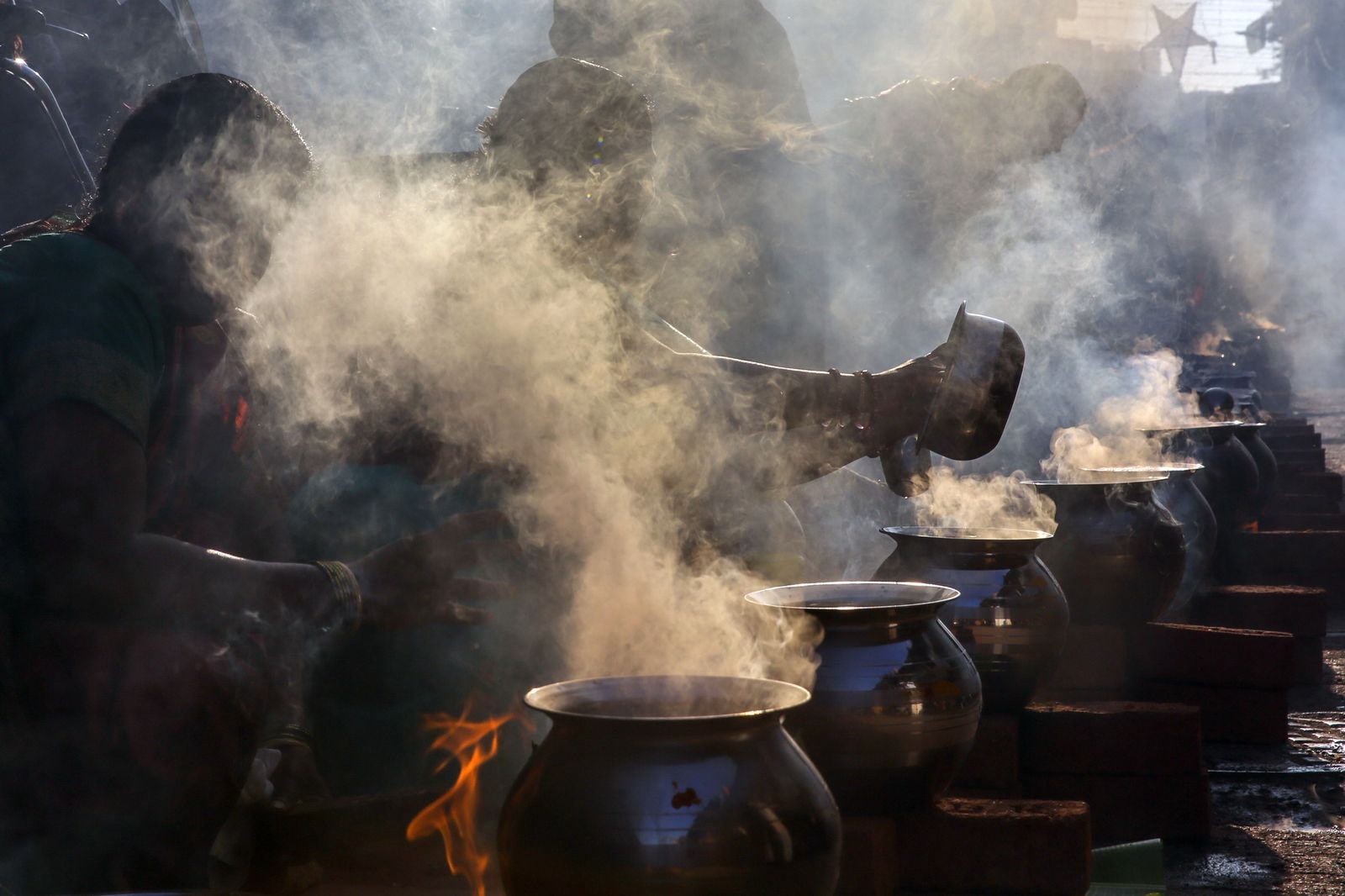 Las preciosas imágenes del Festival Thai Pongal en India