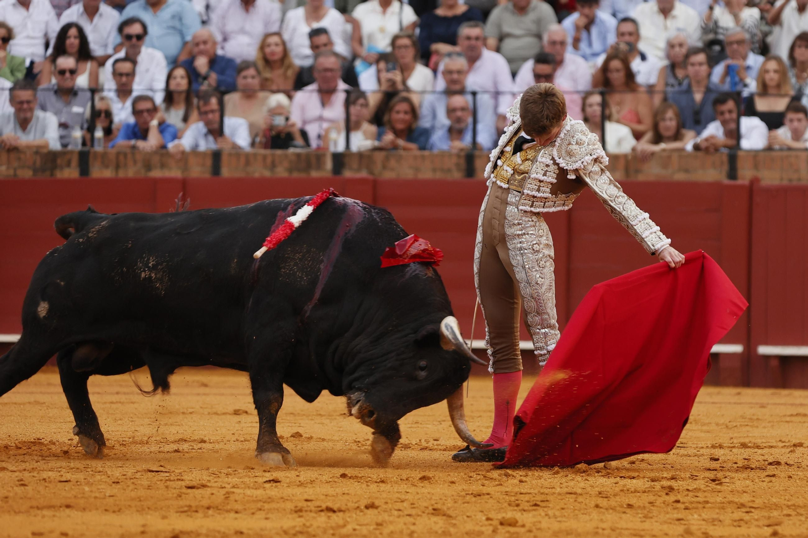 Las imágenes del festejo