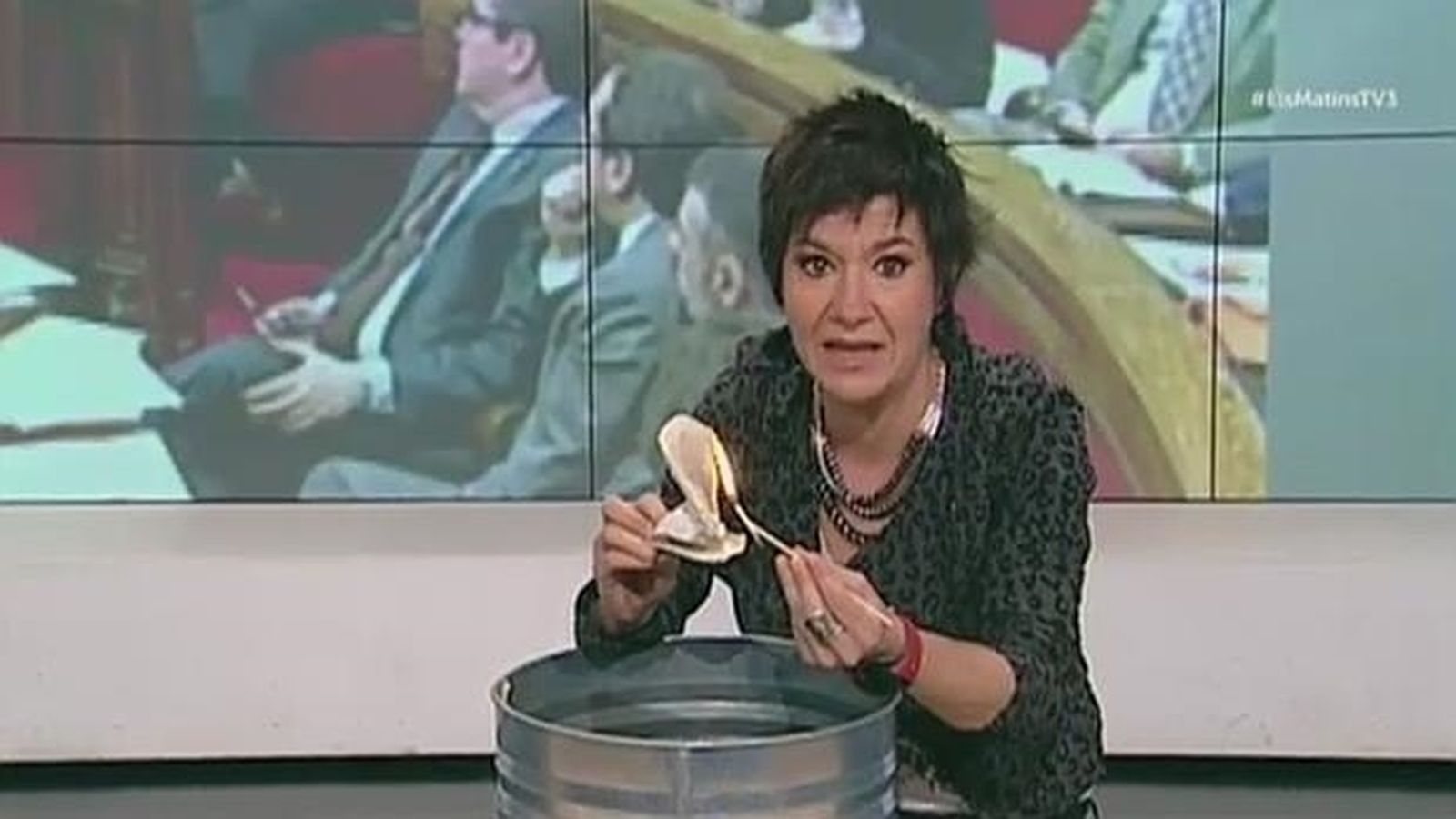 La contertulia Empar Moliner quema la Constitución en el matinal de la catalana TV3