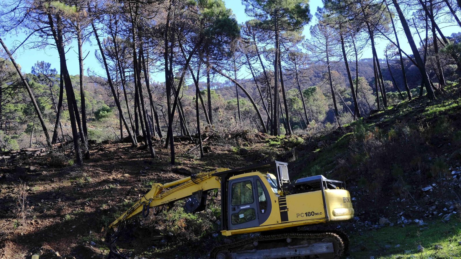 Maquinaria trabajando en Sierra Bermeja.