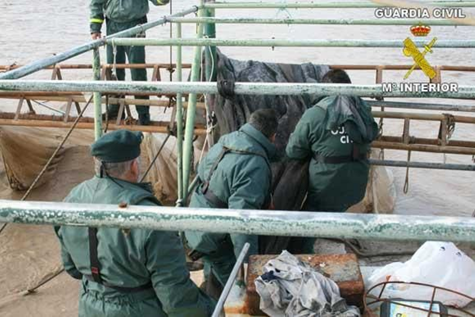 agentes del Seprona durante la operación.

Foto: Borja Benjumeda