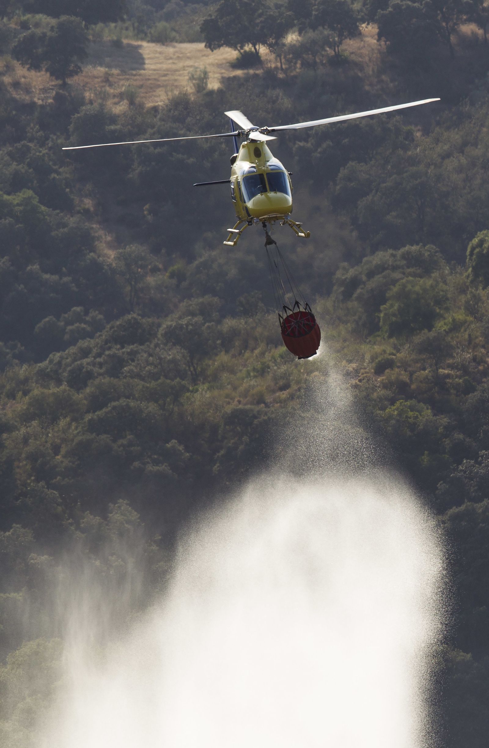 El incendio forestal de El Ronquillo, en imágenes