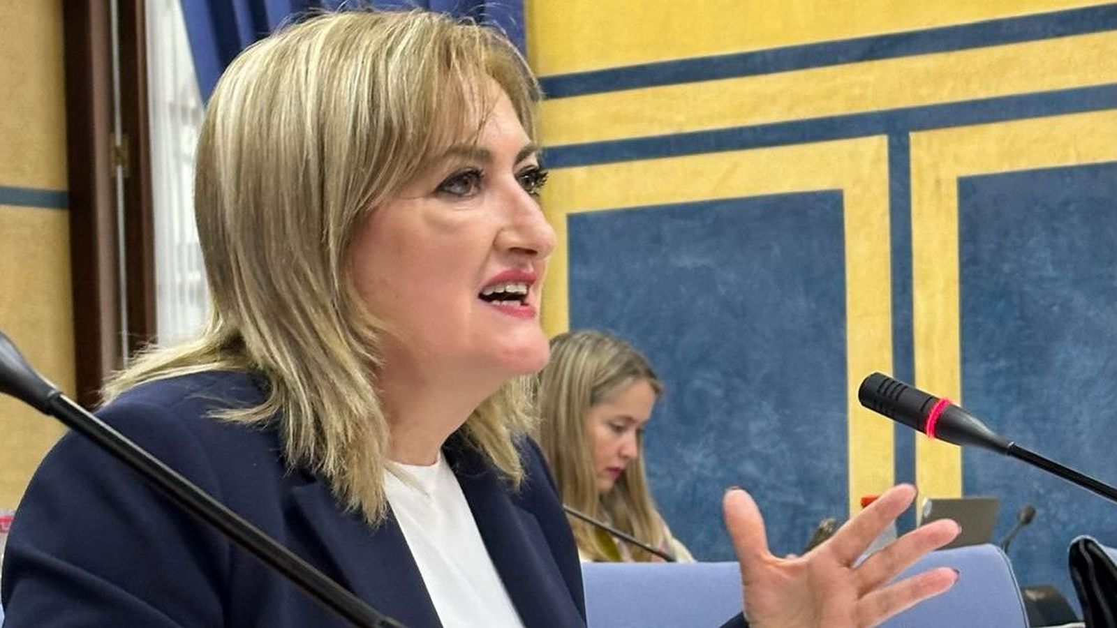 La parlamentaria Celia Santiago