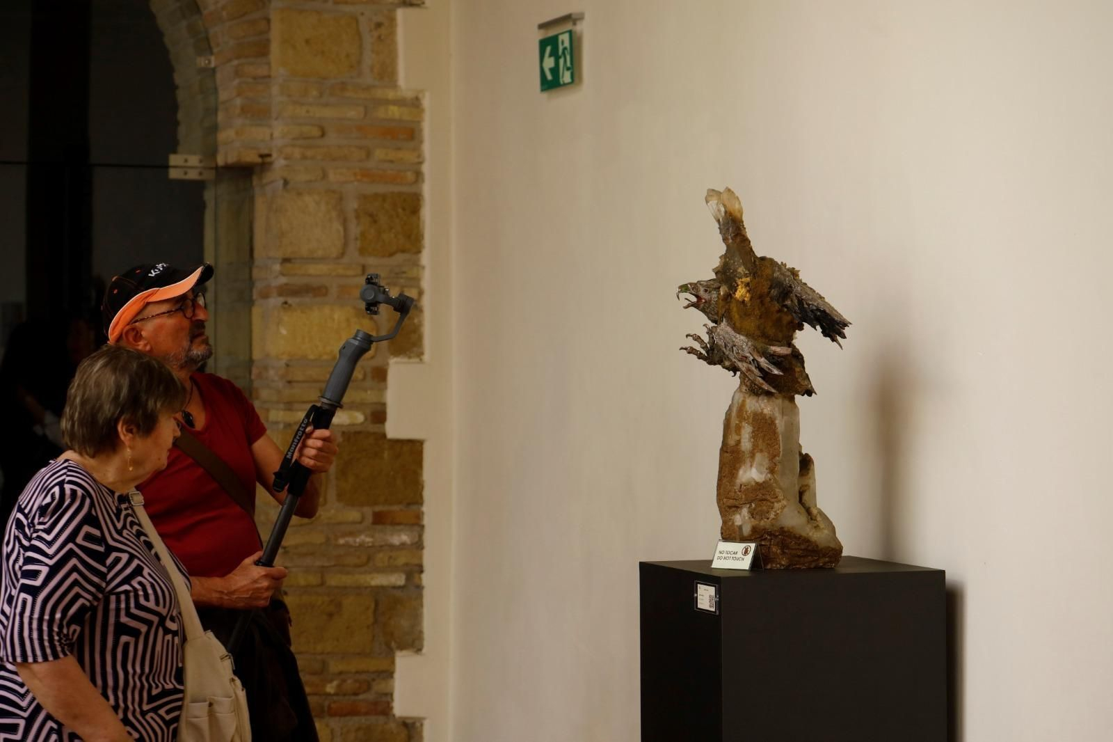 En imágenes, la espectacular exposición de Aurelio Teno en el Palacio de Congresos de Córdoba