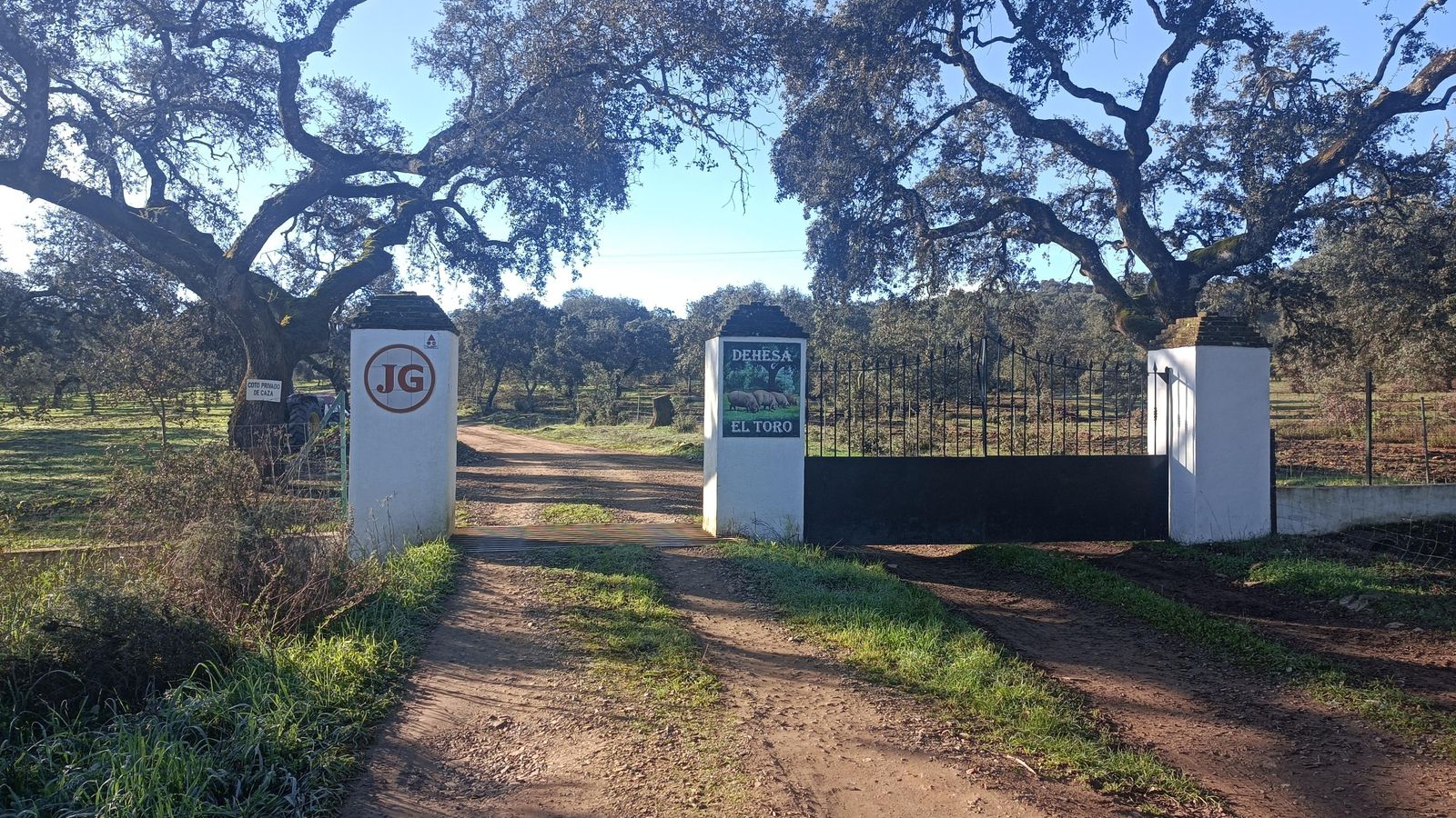 A la derecha, tras algo más de un kilómetro, veremos el acceso a la Finca del Toro. Es nuestra entrada a la dehesa.