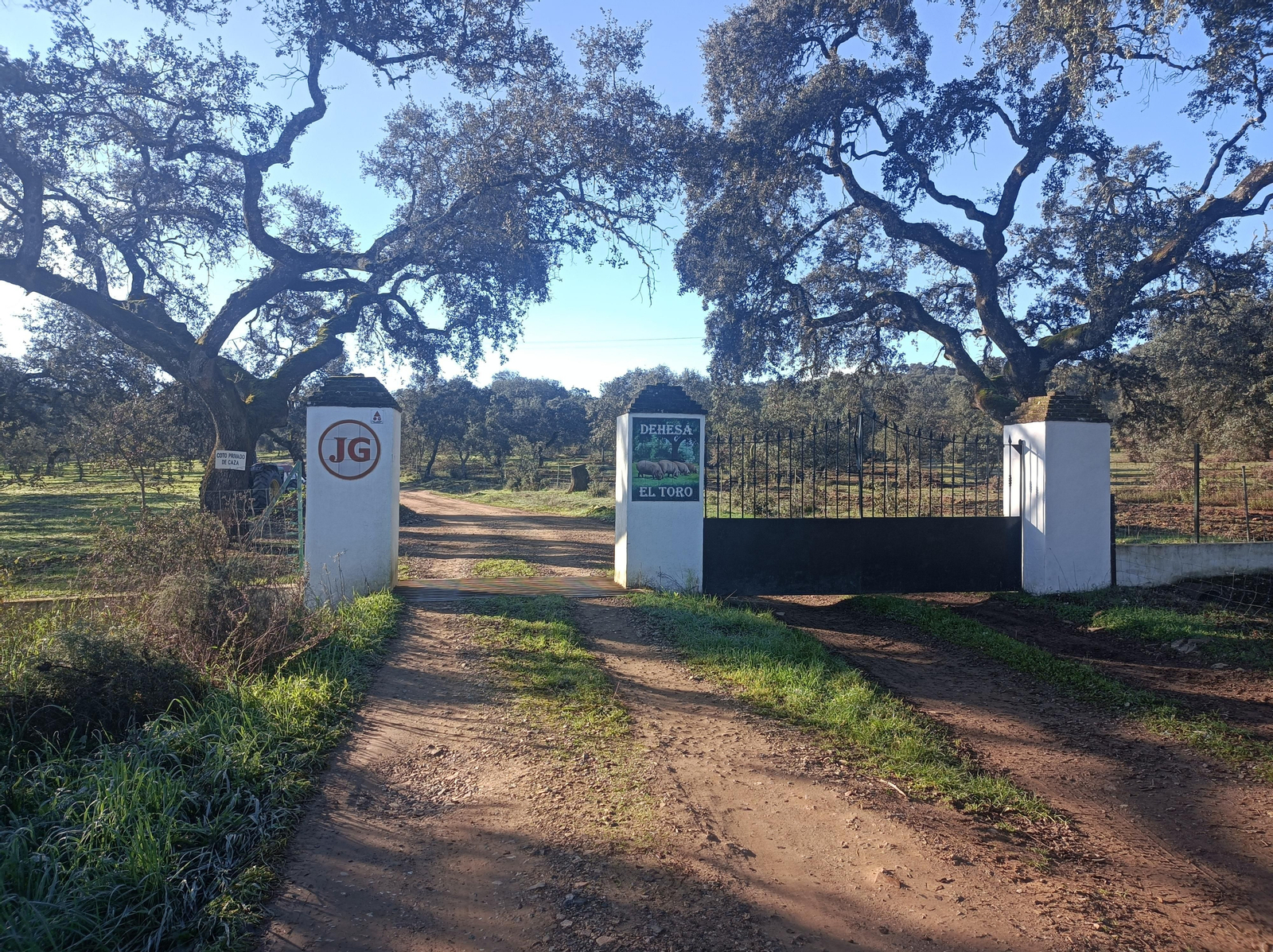 A la derecha, tras algo más de un kilómetro, veremos el acceso a la Finca del Toro. Es nuestra entrada a la dehesa.