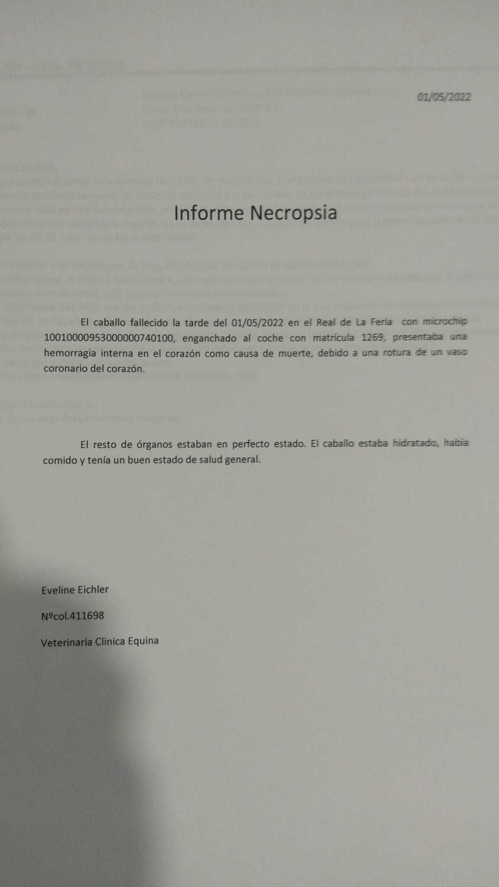 Necropsia del caballo fallecido en la Feria