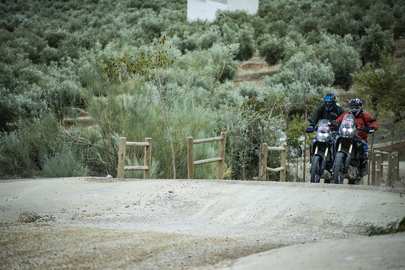 ¿Estuviste en la tercera edición de la ruta Olivobook? Búscate