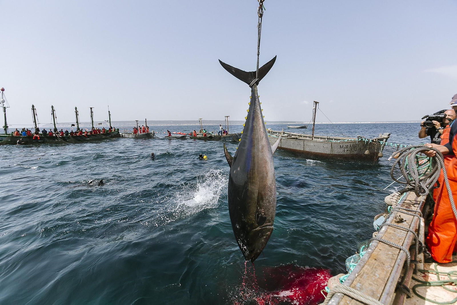 Imágenes de la primera levantá del año