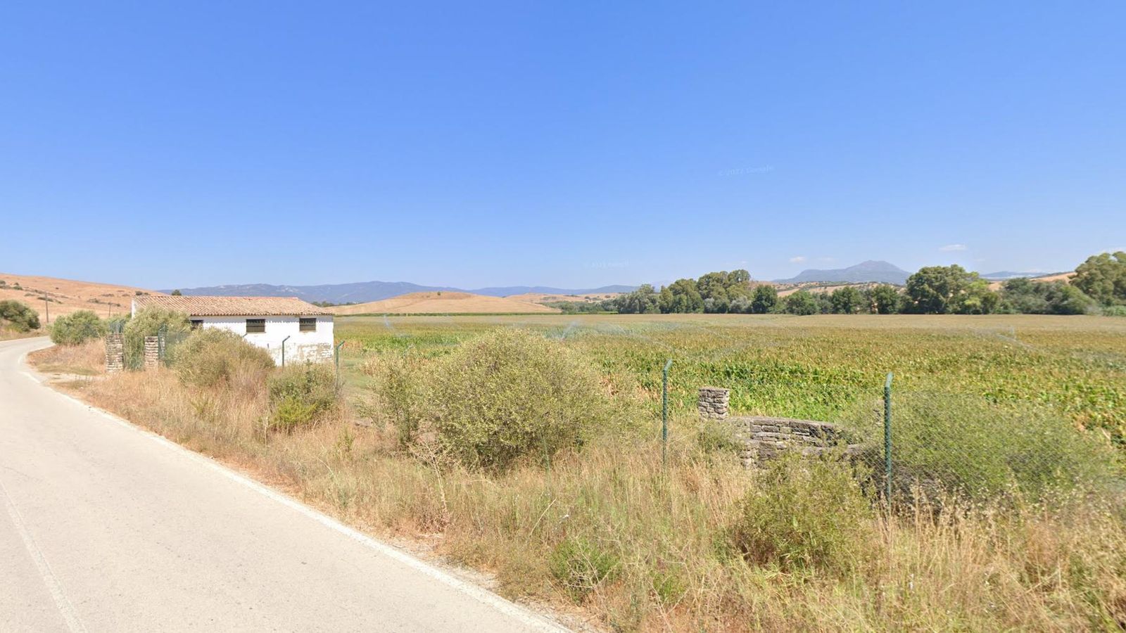 Desde la carretera vemos al fondo Los Alcornocales. El río Guadiaro fluye bajo la vegetación que vemos a la derecha.
