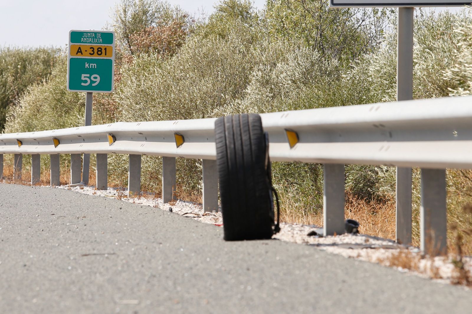 El accidente mortal en la A-381, a la altura de Alcalá de los Gazules, en imágenes