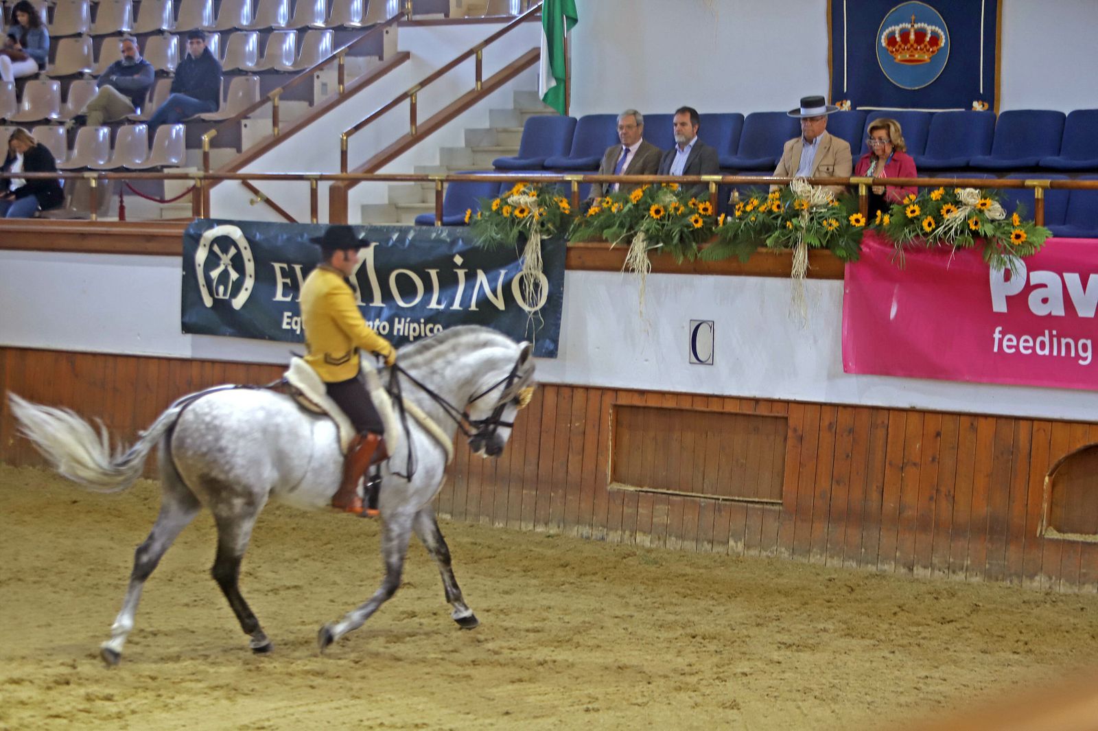 XVII Campeonato de Andalucía de Doma de Alta Escuela