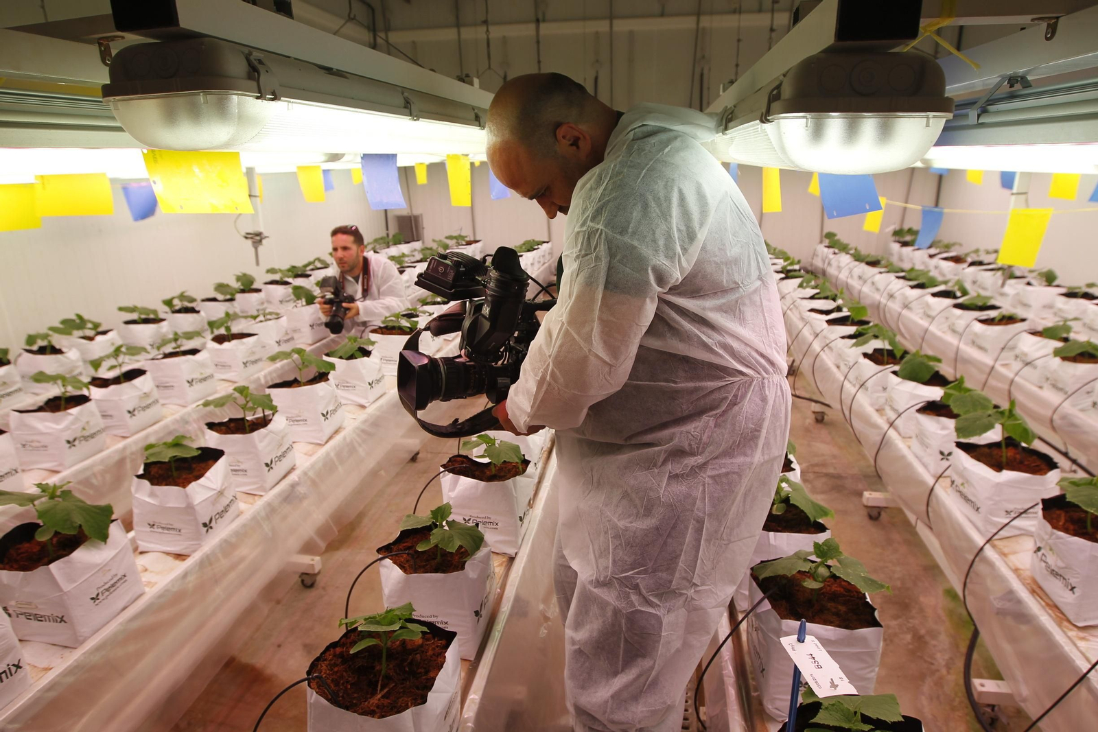 Fotogalería presentación resultados Bayer