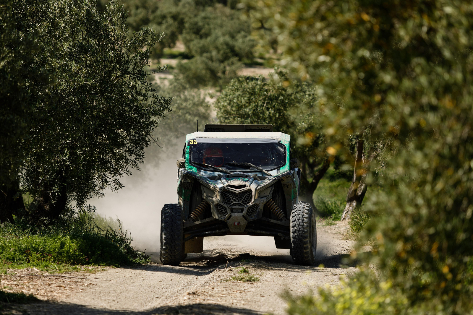 En imágenes: VI Rallye TT Mar de Olivos: motor en estado puro