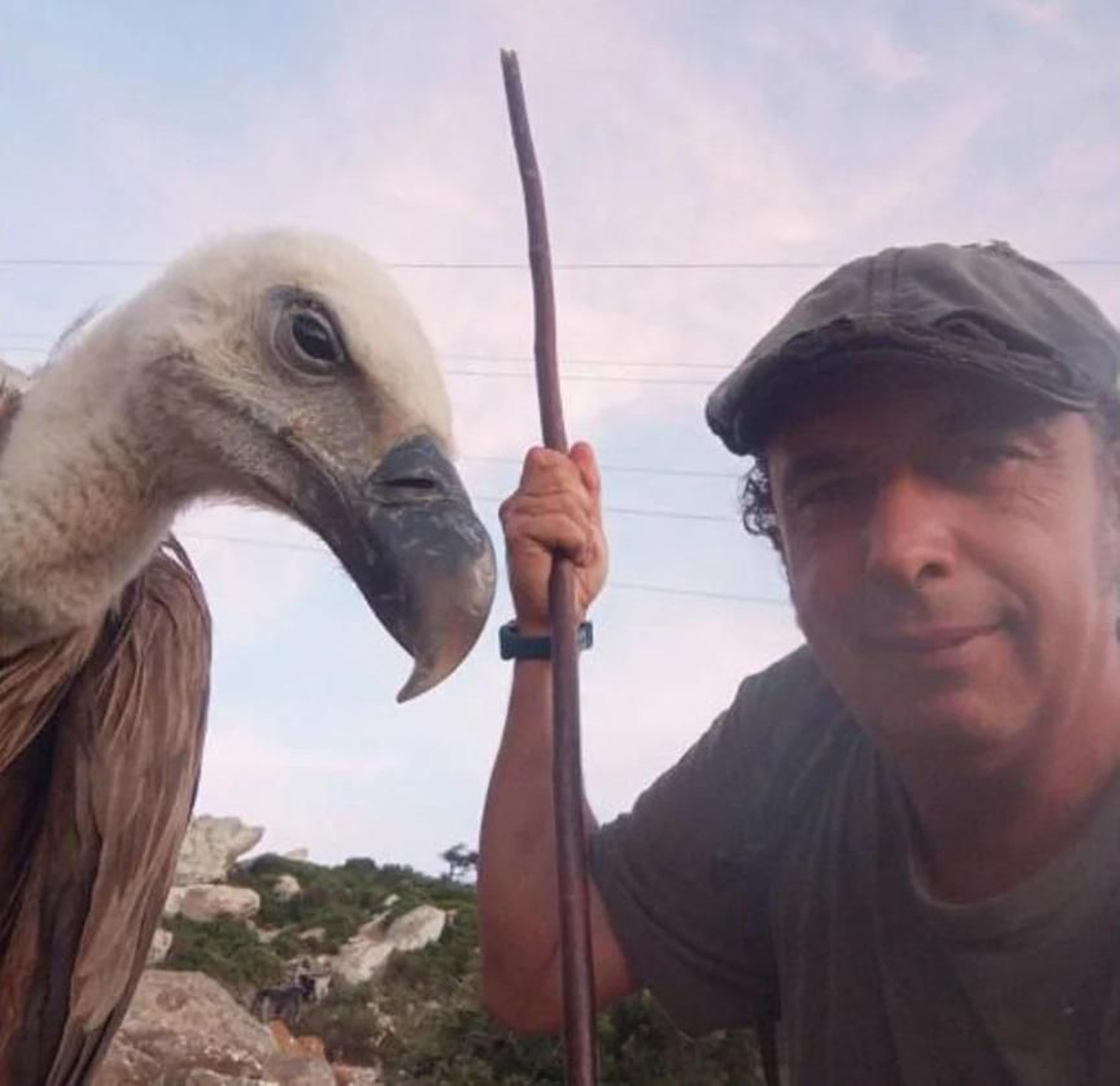 Un 'selfie' de Fran y el buitre leonado en Bolonia.