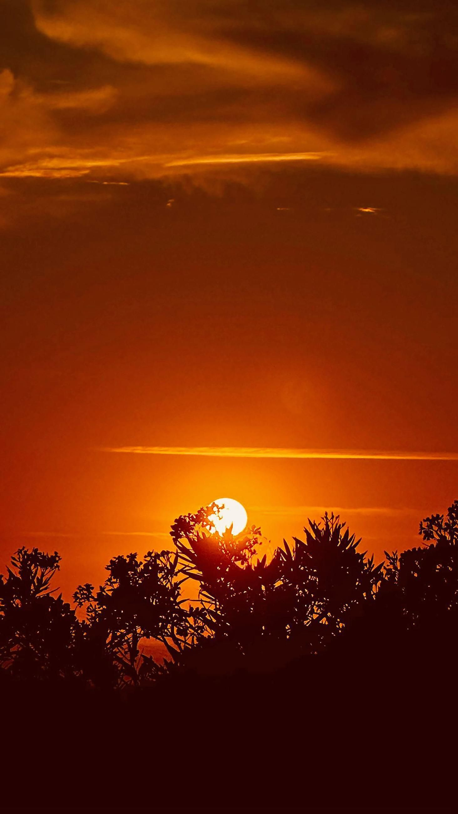 Las imágenes más destacadas del domingo 29 de junio en Huelva