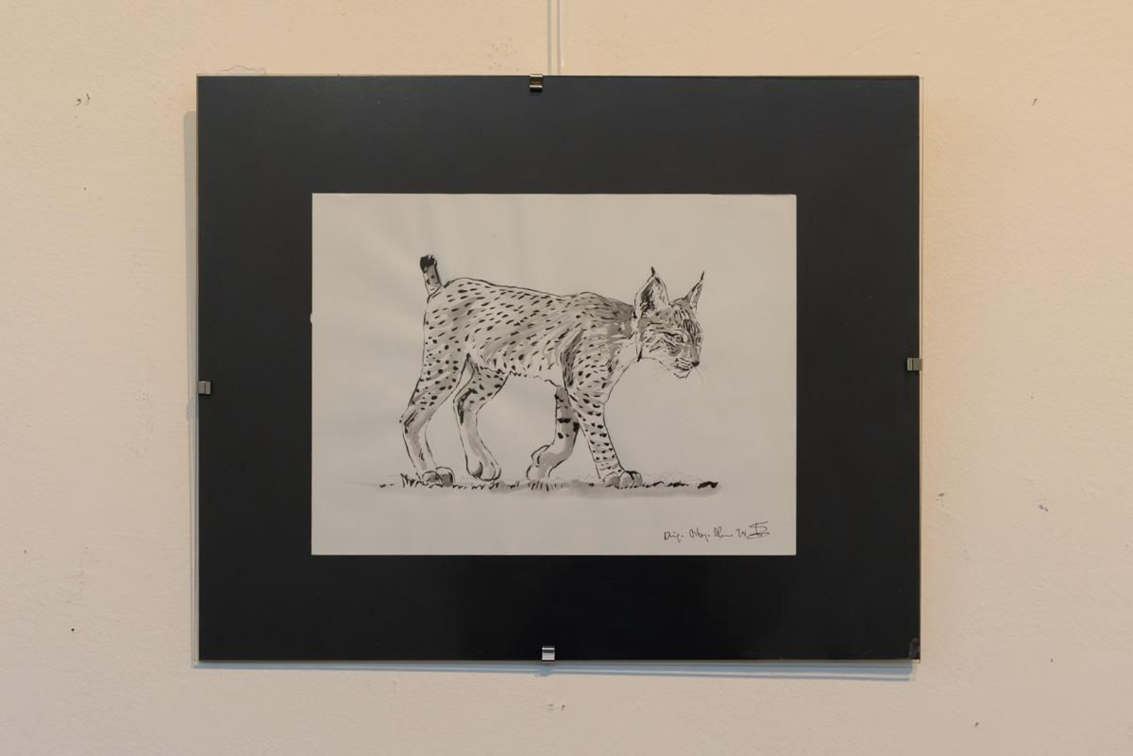 Exposición Los pinceles del lince ibérico, en imágenes