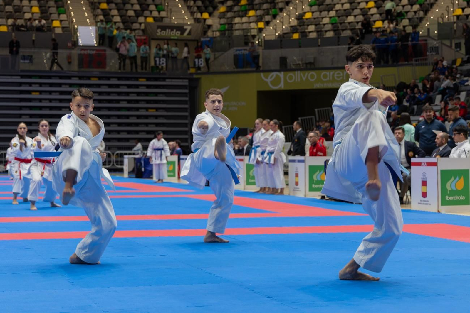 Campeonato de España de Kárate cadete, júnior y sub 21 brilla en Jaén