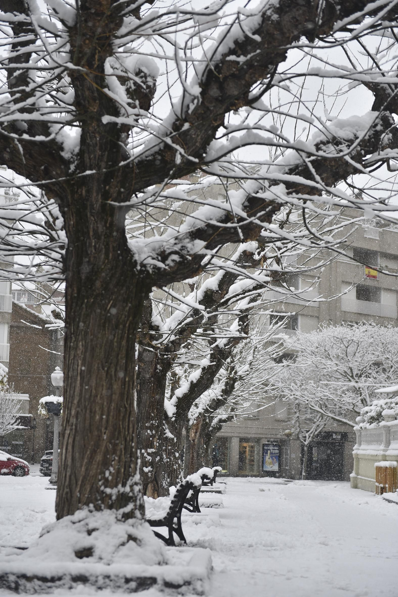 El segundo día del temporal 'Filomena' en imágenes: más nieve y caos