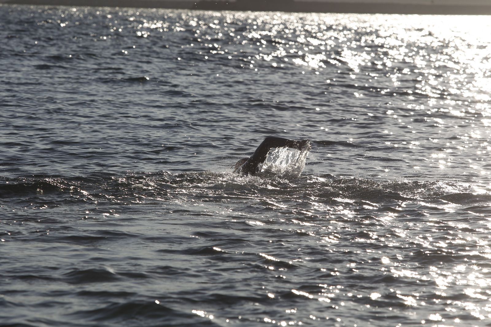 Galería gráfica entrenamiento paratriatleta Jairo Ruiz. Almería