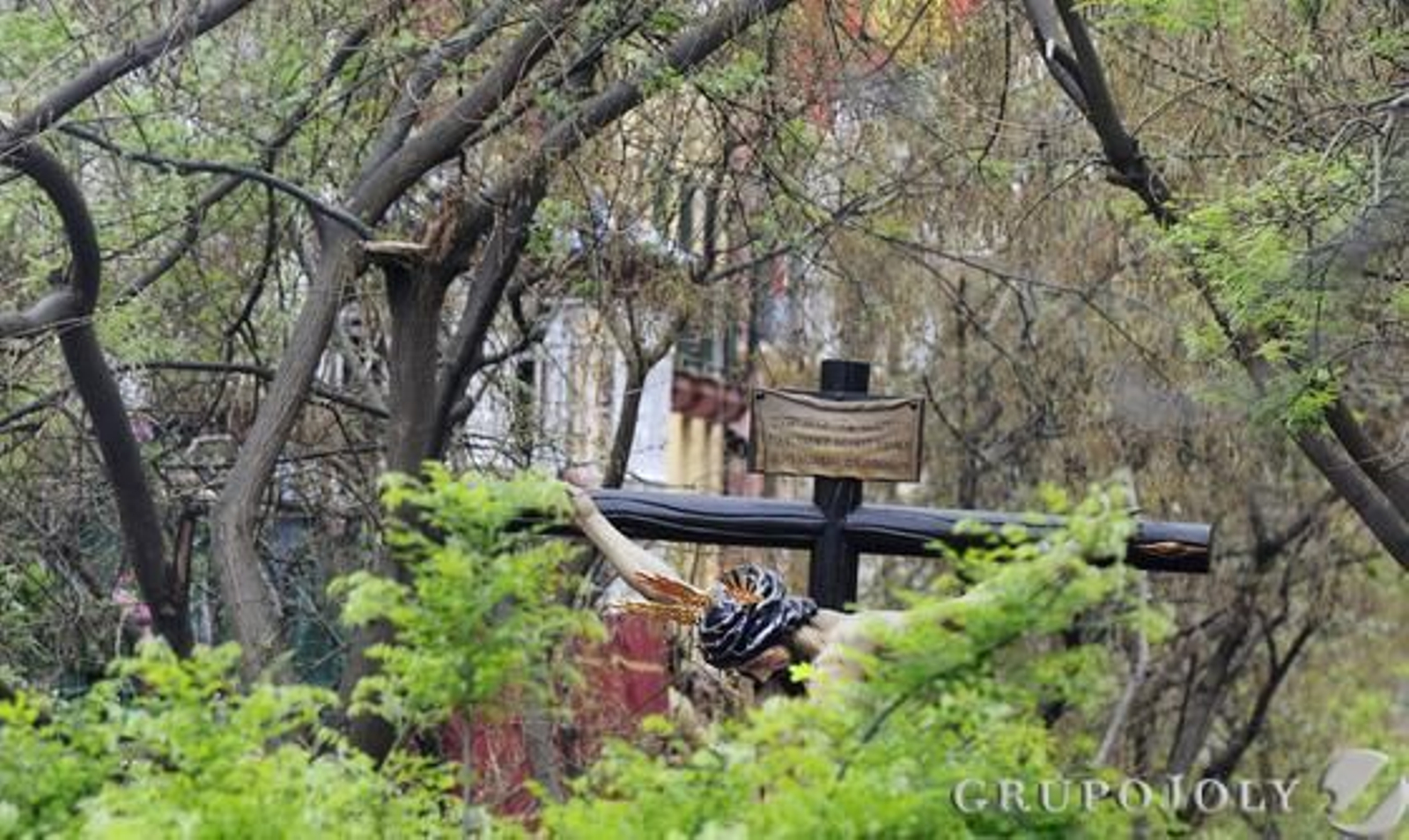 Foto: Juan Carlos Muñoz