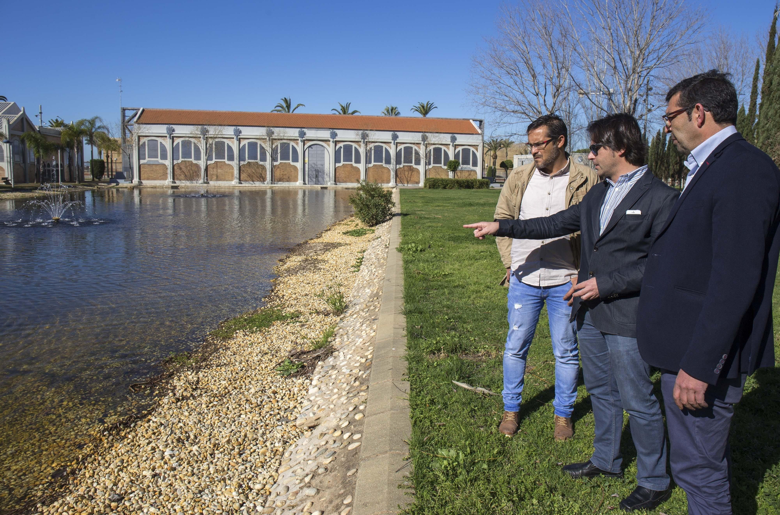 Patos en el estanque del parque Zafra
