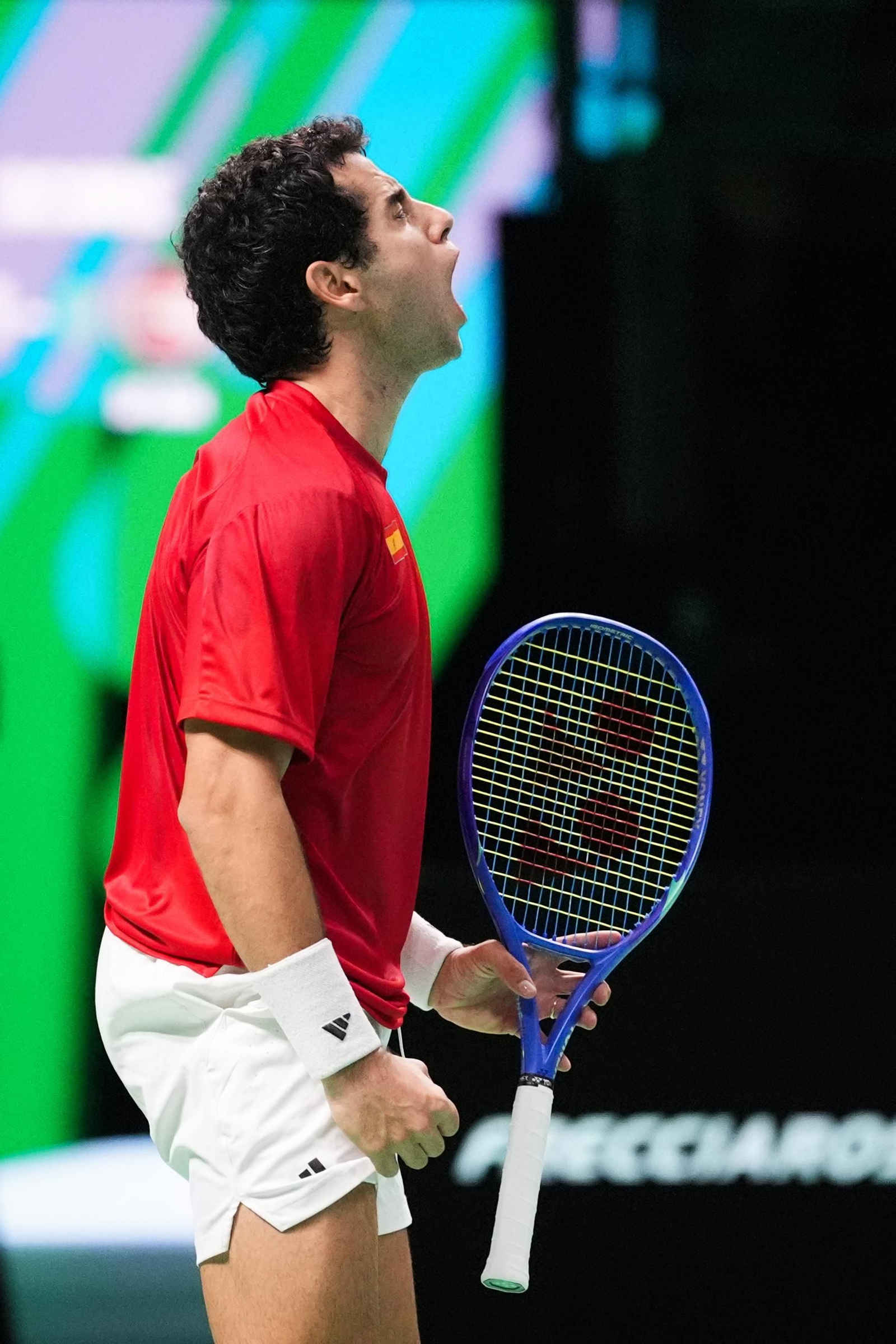 Las fotos de la final de la Copa Davis Italia-España