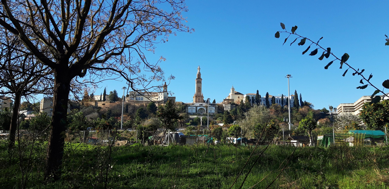 Ruta por la ribera del Guadalquivir entre Sevilla y Coria del Río