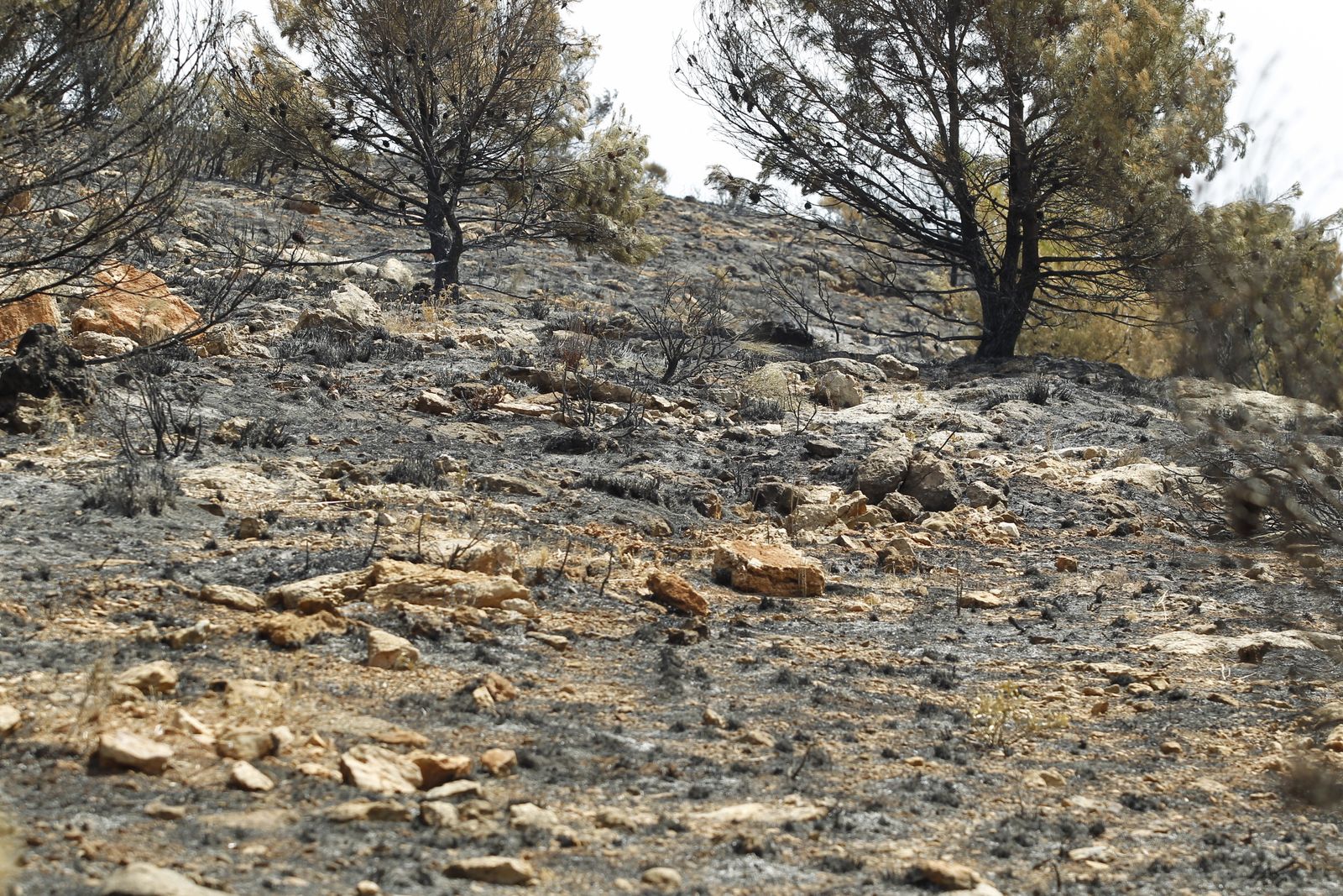 Fotogalería incendio extinguido Sierra de Gádor