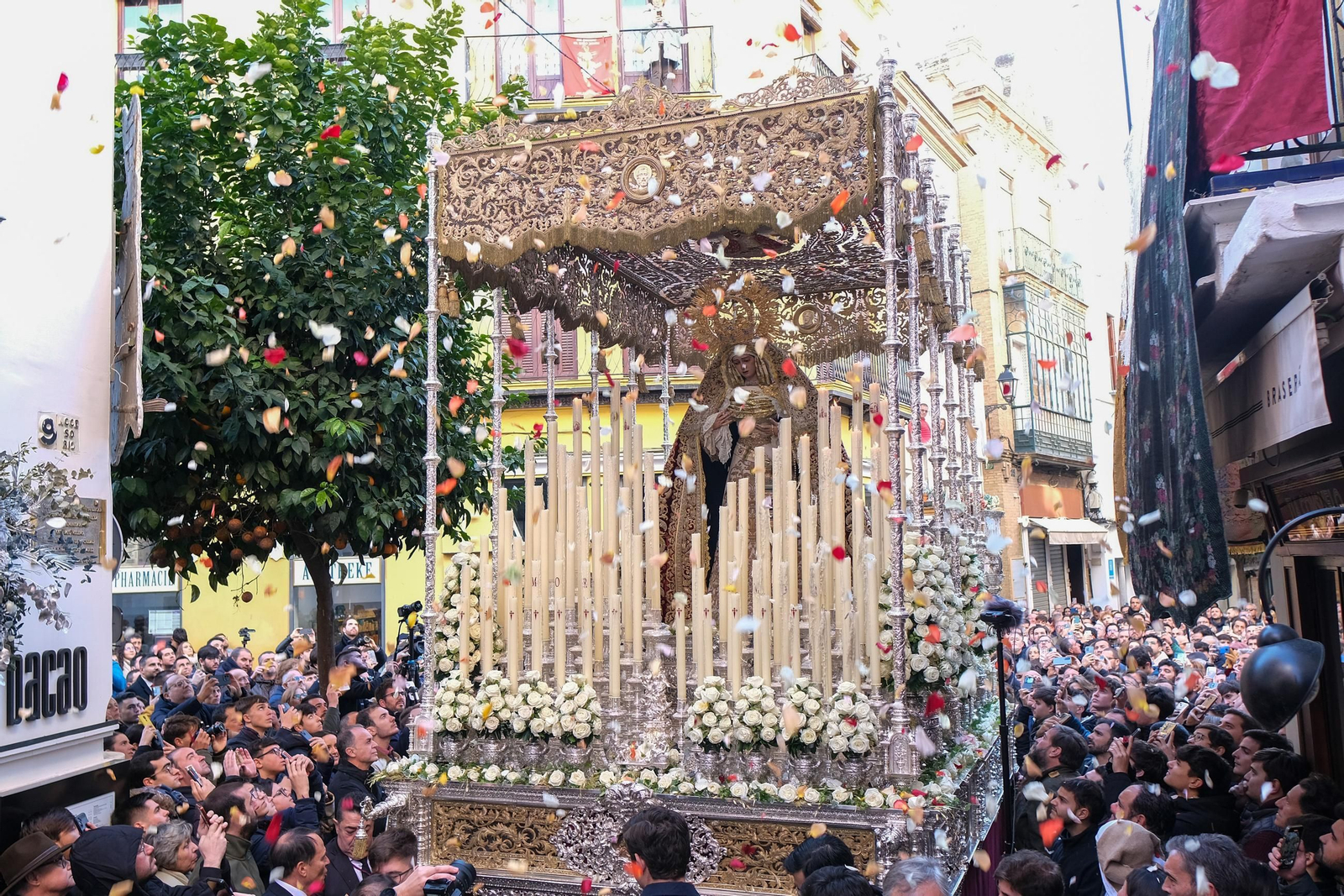 Imágenes del regreso de la Virgen del Socorro al Salvador