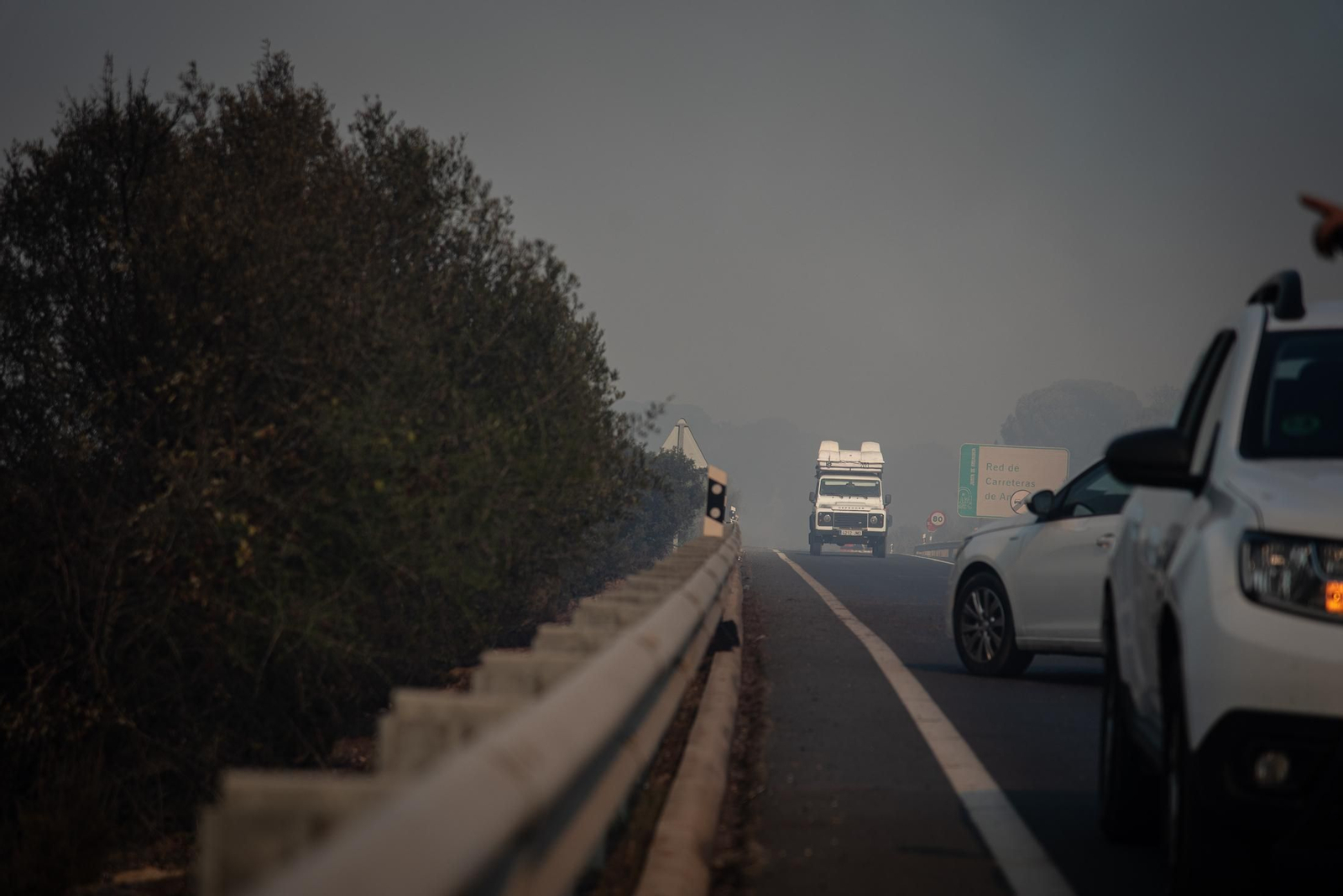 El incendio de Lucena del Puerto en imágenes