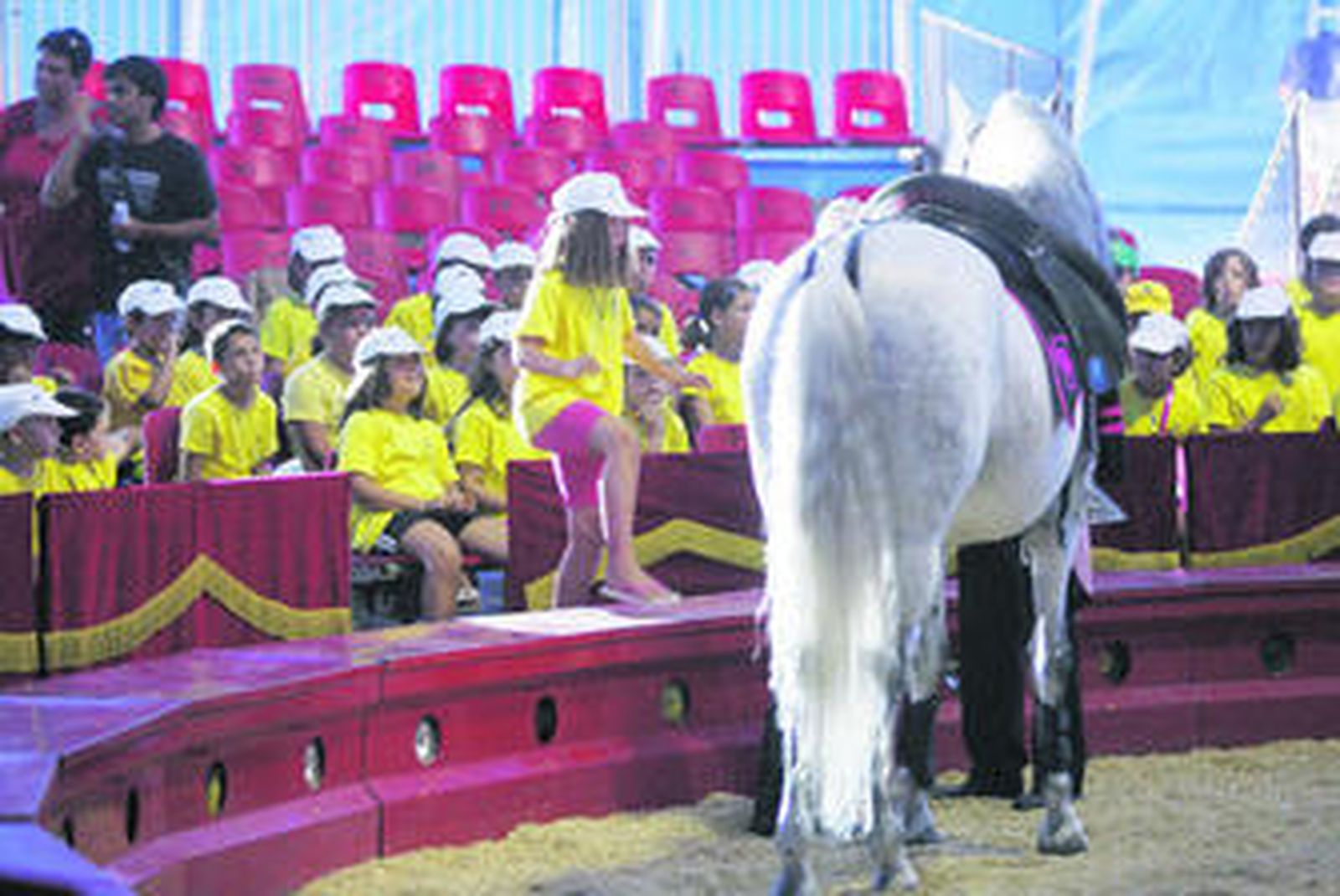 Una de las niñas del campamento urbano en la actuación de los caballos del Circo