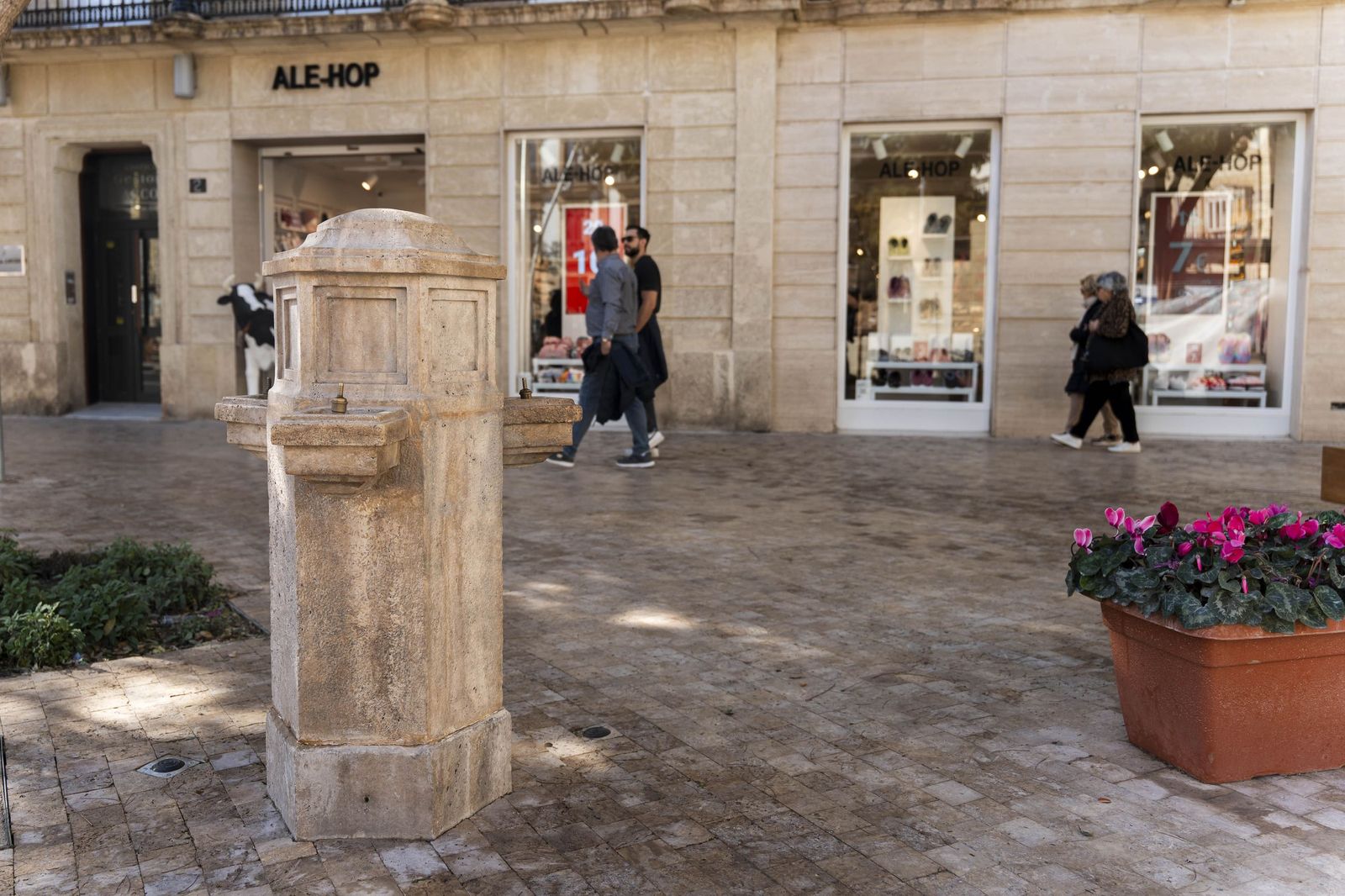 El cañillo de Puerta Purchena, en imágenes
