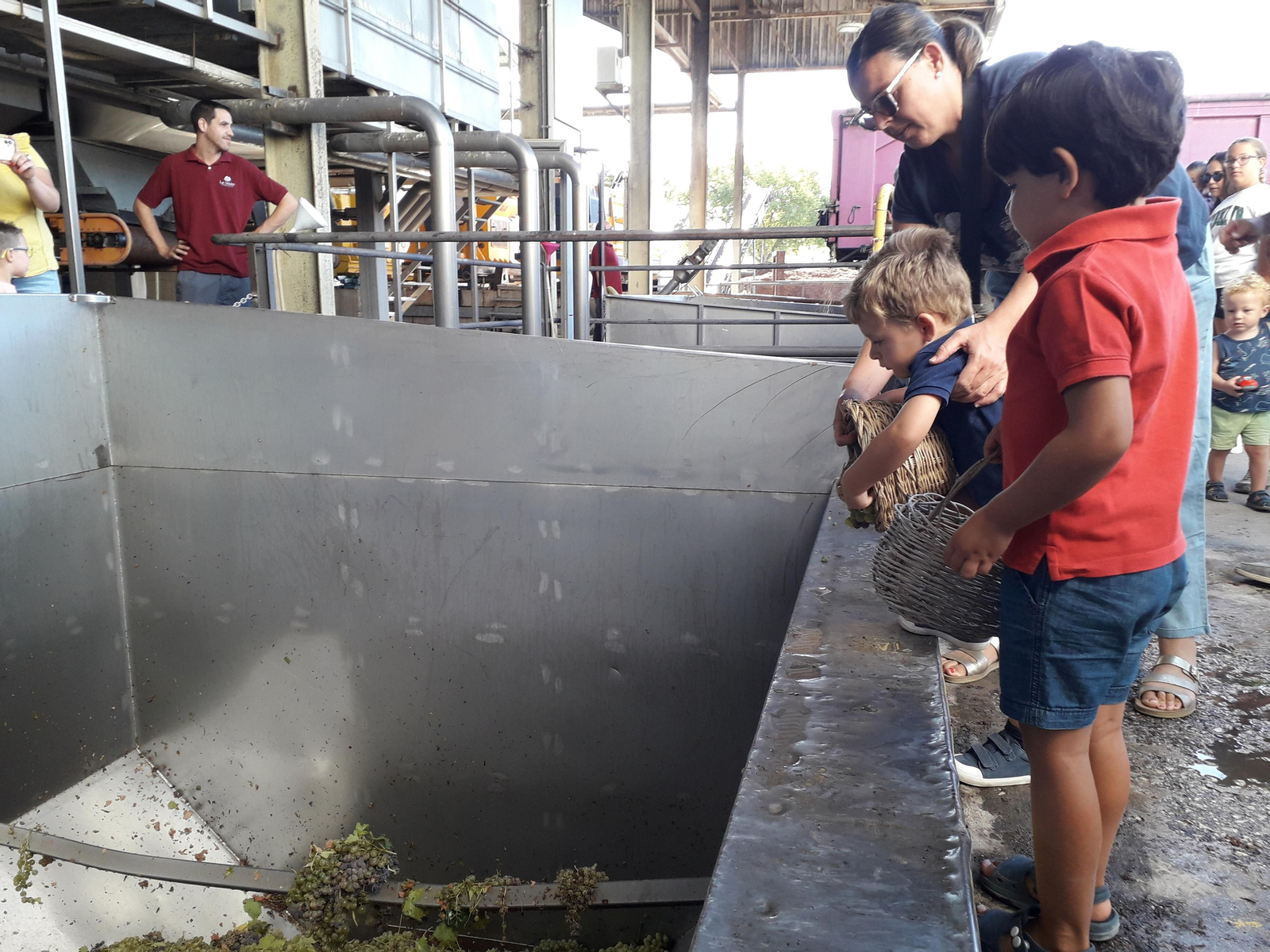 La primera vendimia infantil de Montilla, en imágenes