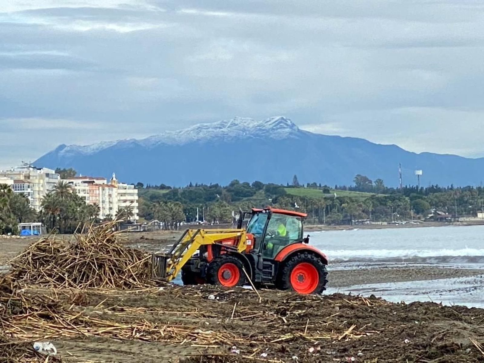 Un trabajador municipal retirando cañas de la costa esteponera. Un trabajador municipal retirando cañas de la costa esteponera.