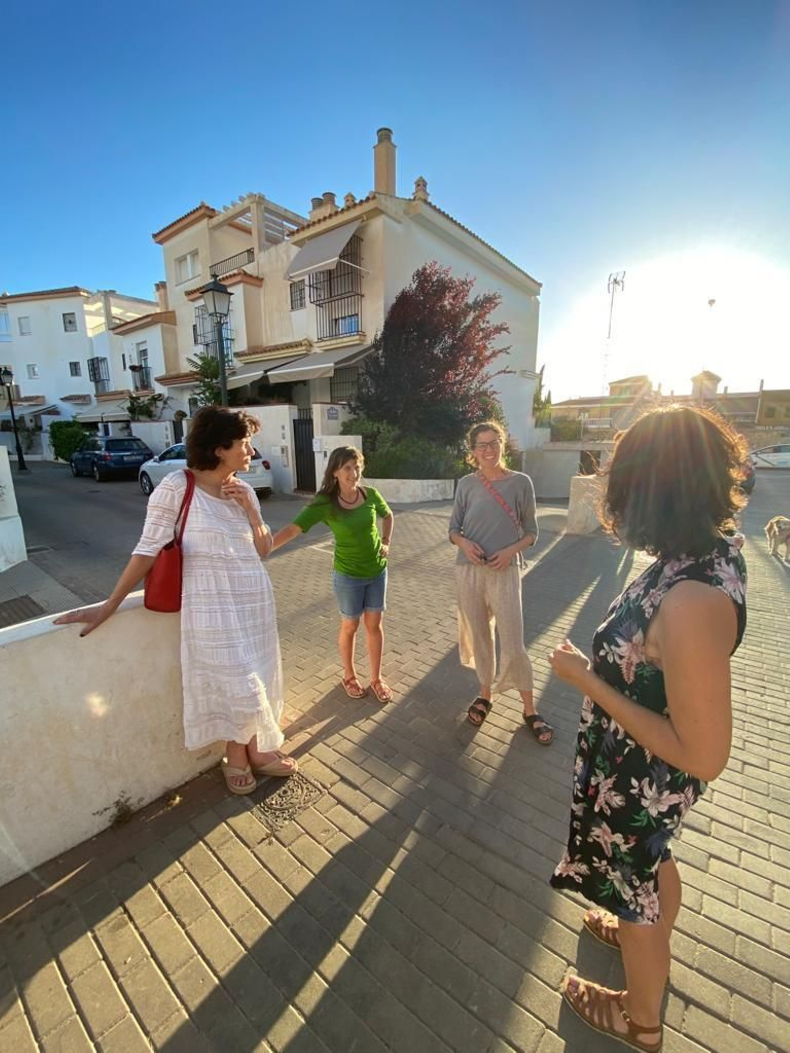 UP reclama mayor seguridad peatonal en San Miguel Alto de Granada